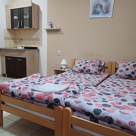 Sobe Sanja Hotell Pirot Exteriör bild