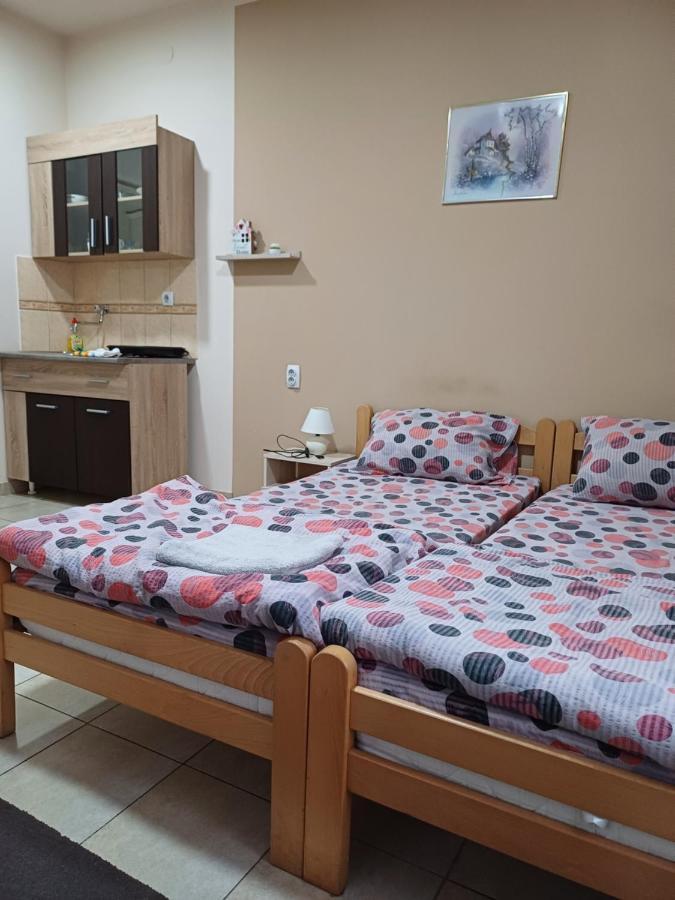 Sobe Sanja Hotell Pirot Exteriör bild