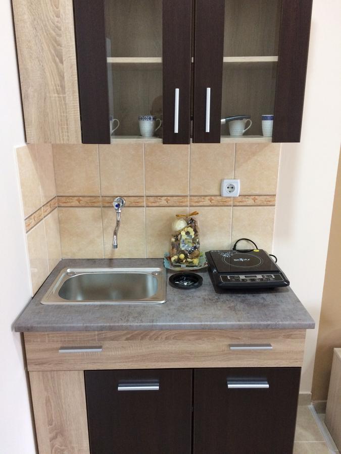 Sobe Sanja Hotell Pirot Exteriör bild